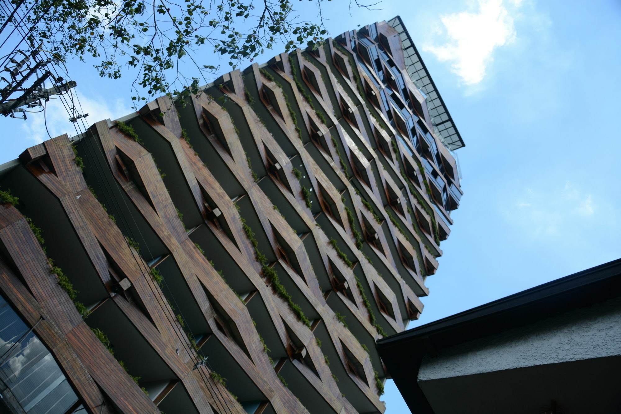 The Charlee Hotel Medellín Exterior foto